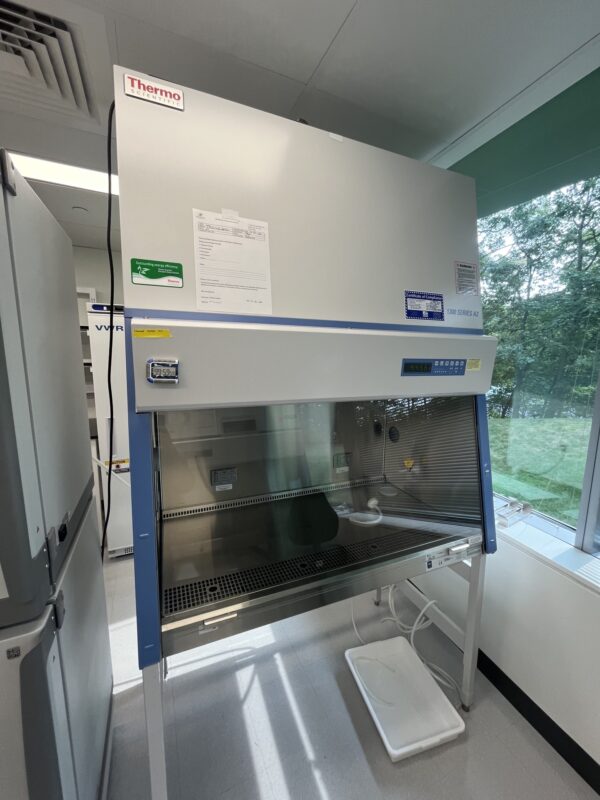 Thermo Scientific 1375 Biosafety Cabinet